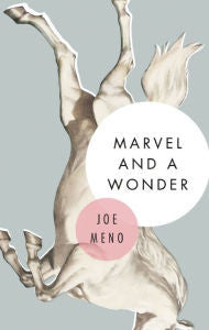 Joe Meno - Marvel and a Wonder