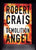 Crais, Robert - Demolition Angel