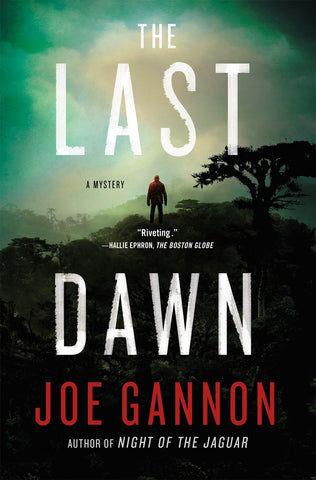 Joe Gannon - The Last Dawn