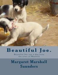 Saunders, Margaret Marshall - Beautiful Joe