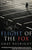 Gray Basnight - Flight of the Fox - Signed