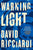 David Ricciardi - Warning Light - Signed